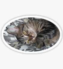 Coco le chaton Sticker