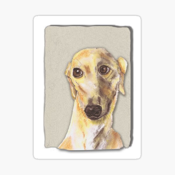 GREYHOUND g215 Sticker