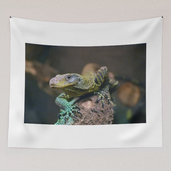 Item preview, Crocodile Monitor designed and sold by rthornberry.