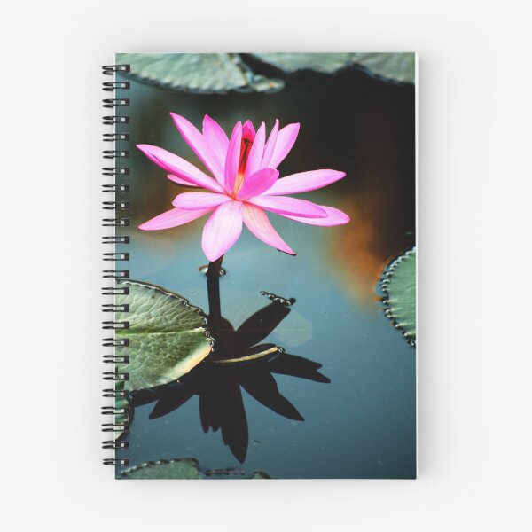 Item preview, Pink - waterlilly designed and sold by Jenny Dean.