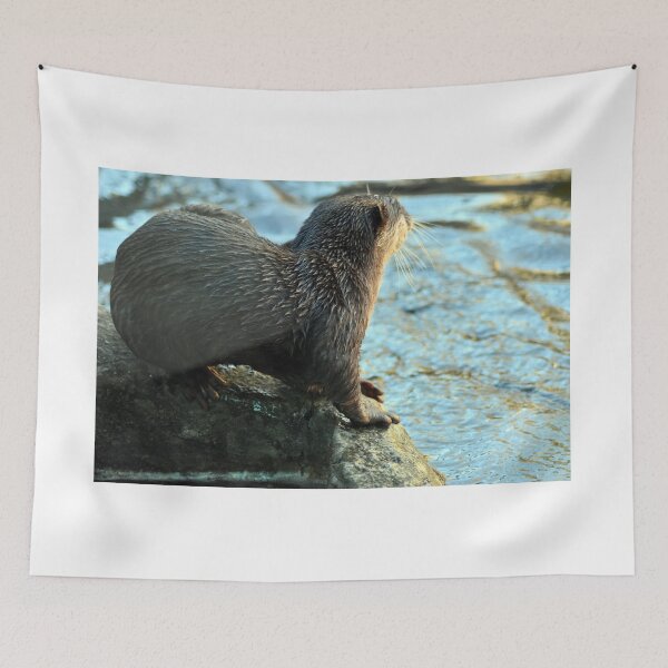 Item preview, Asian Small-Clawed Otter designed and sold by rthornberry.