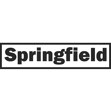 Artwork thumbnail, Lettering Springfield by game2genesis