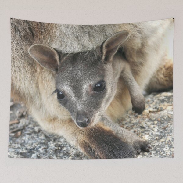 Item preview, Hanging Out - Mareeba rock wallaby designed and sold by Jenny Dean.