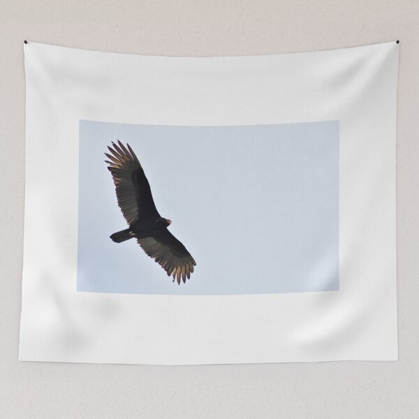 Item preview, Turkey Vulture designed and sold by rthornberry.
