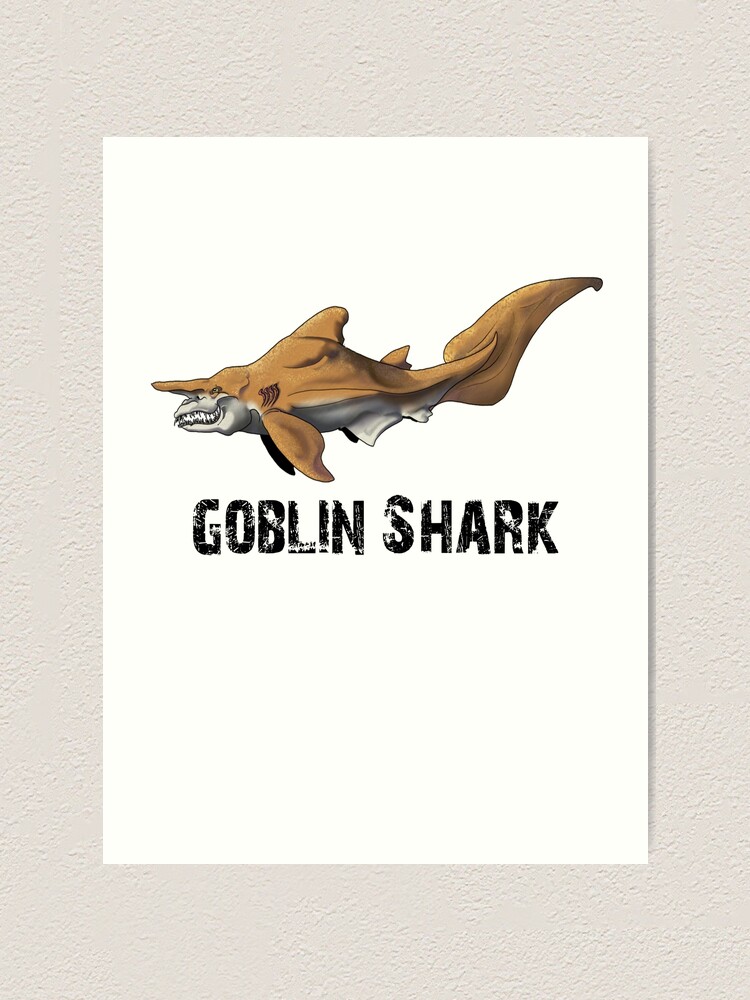 Goblin Shark Dimensions & Drawings