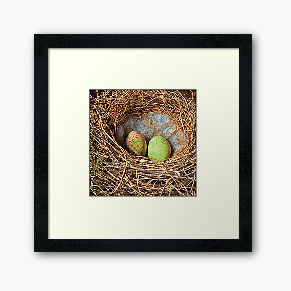 The nest Framed Art Print