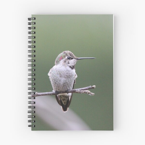 Item preview, Hummingbird with bow  designed and sold by Sandi Walmsley.
