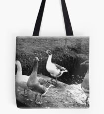 WE ARE FOUR Tote Bag