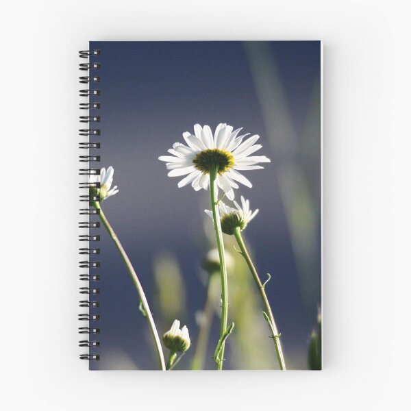 Item preview, Daisies designed and sold by Sandi Walmsley.