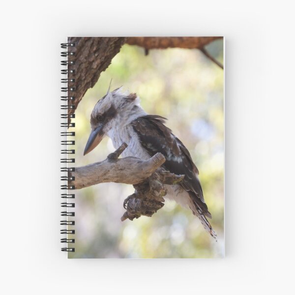 Item preview, Kookaburra sits  designed and sold by MargsNaturePix.