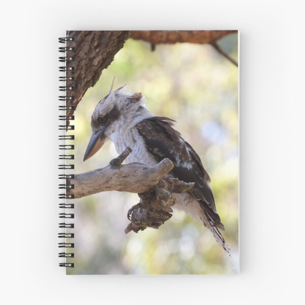 Item preview, Kookaburra sits  designed and sold by MargsNaturePix.