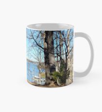 Wnc 45 Classic Mug