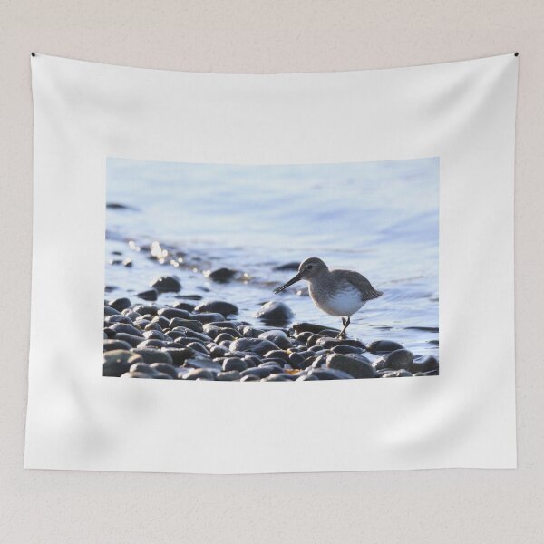 Item preview, Shorebird designed and sold by Sandi Walmsley.