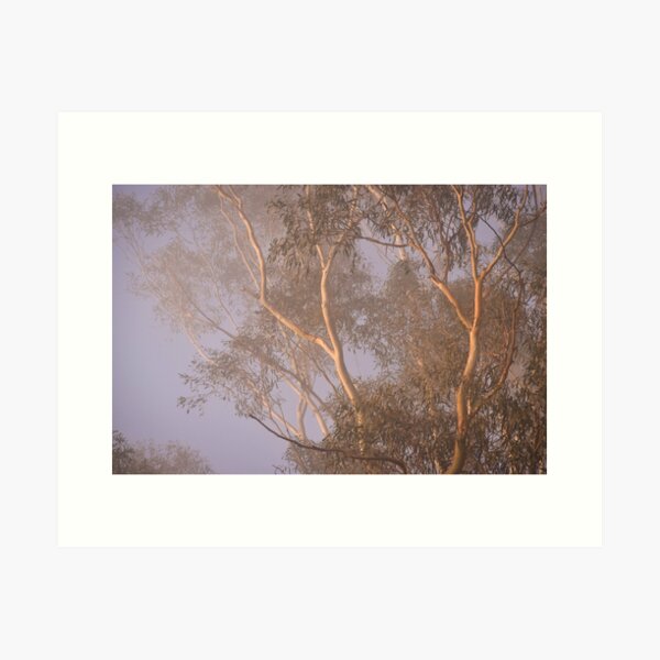 Item preview, Misty Morning in Kalorama designed and sold by Gabrielle Pattenden.