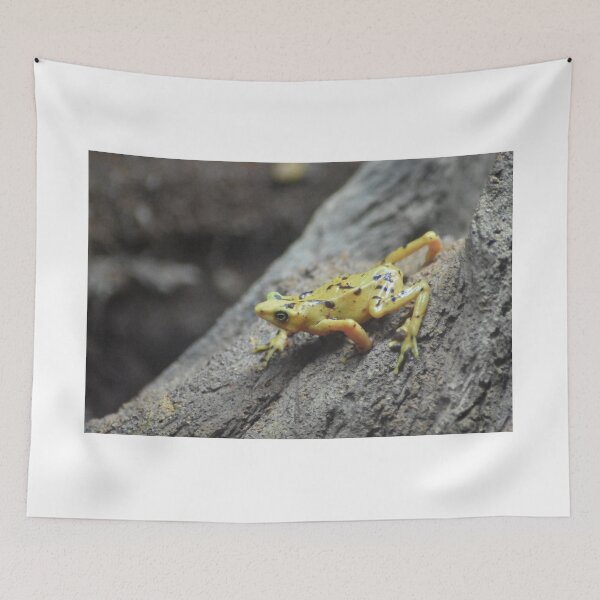 Item preview, Panamanian Golden Frog designed and sold by rthornberry.