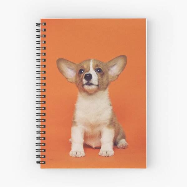 Item preview, Cute small pomeranian in orange background designed and sold by DelightfulArts.