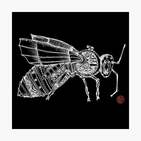 Steampunk Fly Photographic Print