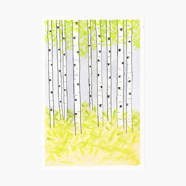 aspen Photographic Print