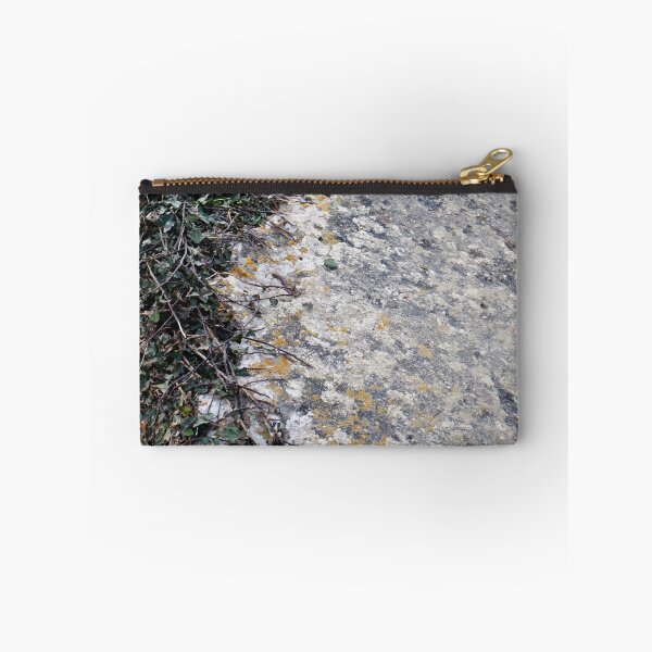 Item preview.