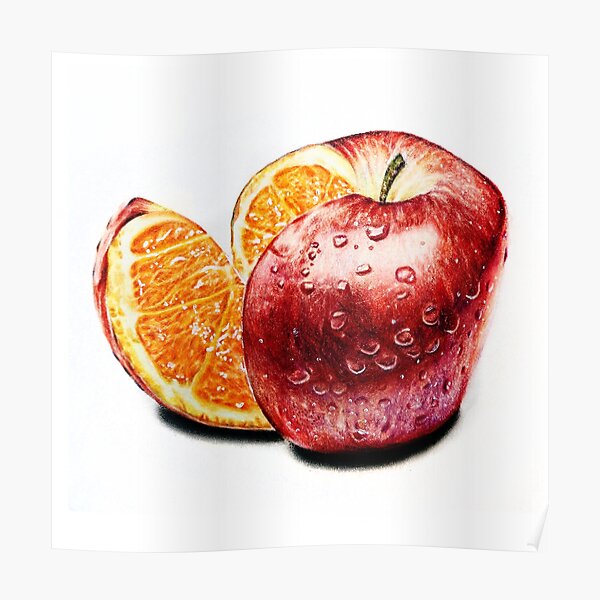 Freakonomics (Color pencil drawing) Poster