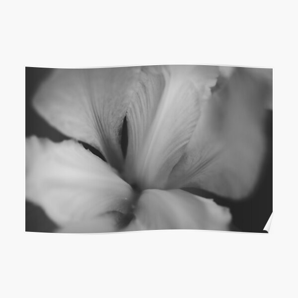 Abstract Flower Poster