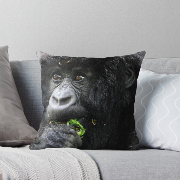 Item preview, Juvenile Mountain Gorilla Eating, Kwitonda Group, Rwanda, East Africa  designed and sold by Carole-Anne.