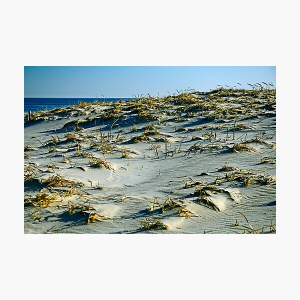 The Dunes Photographic Print