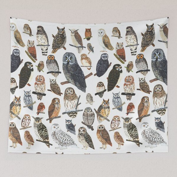 Item preview, OWLS Antique Animal Drawings designed and sold by BulganLumini.