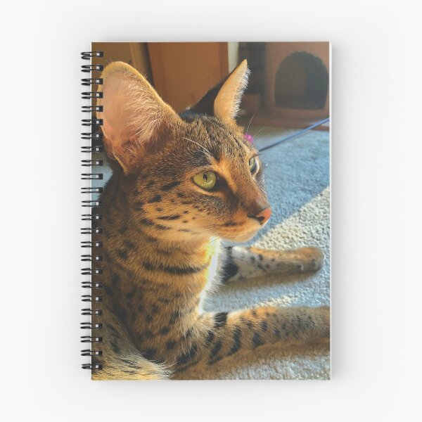 Item preview, F1 Savannah Cat Serval designed and sold by lemans455.