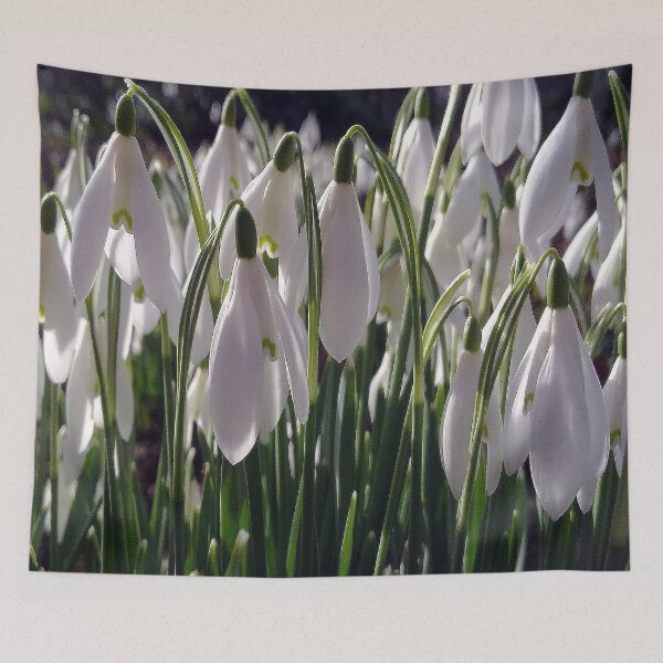Item preview, Snowdrops in Spring designed and sold by Merice  Ewart Marshall.