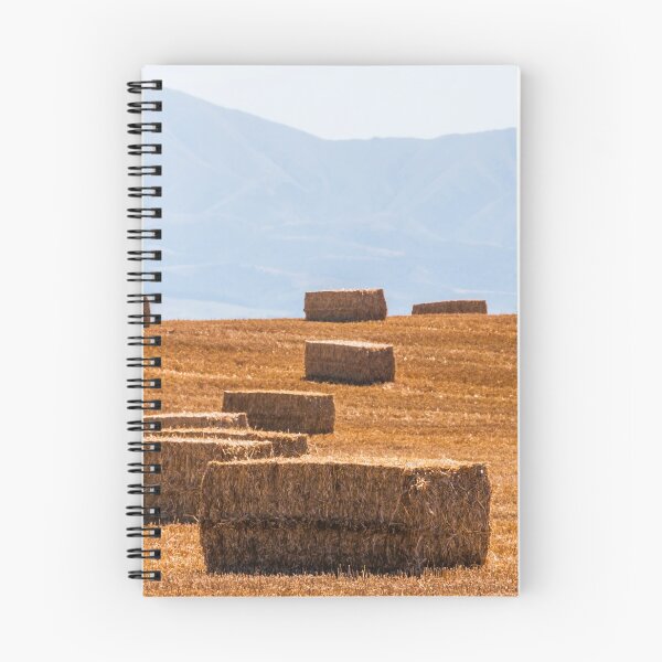 Item preview, Hay designed and sold by Werner Padarin.