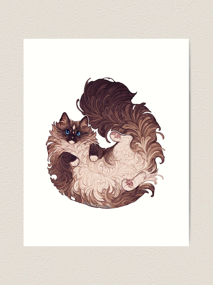 Ragdoll cat
