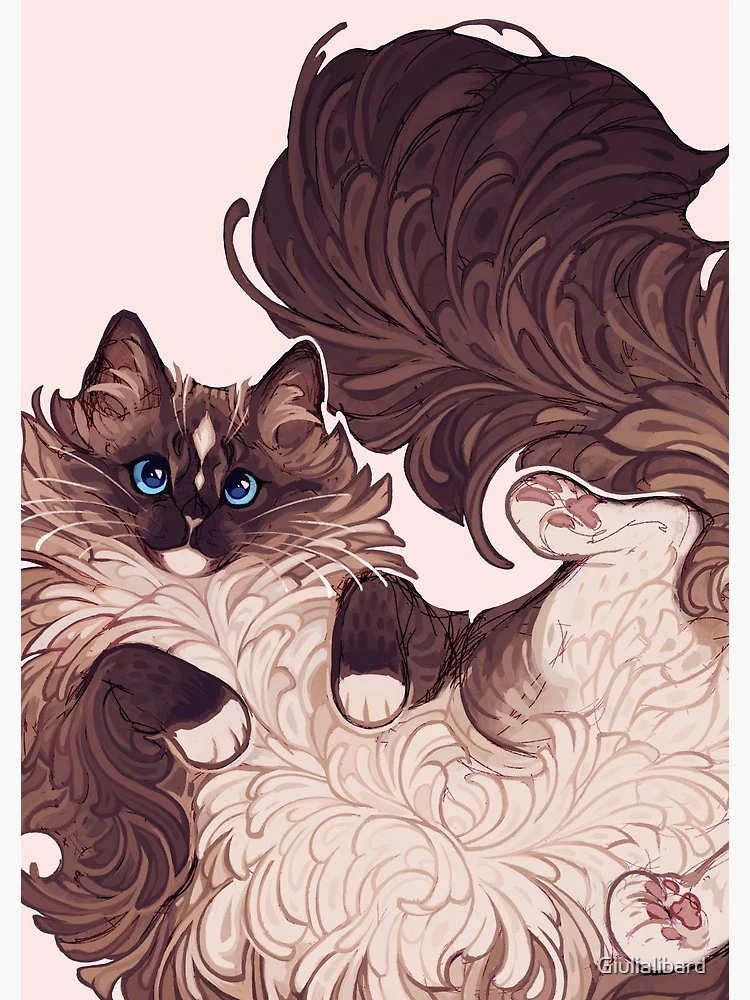 完売品】ダイヤモンドアートクラブ Rolo the Ragdoll Cat Rolo the