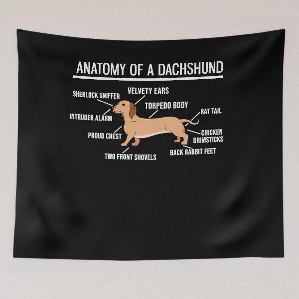 Item preview, Anatomy Of A Dachshund - Cute Funny Dog Puppy designed and sold by PrintPress.