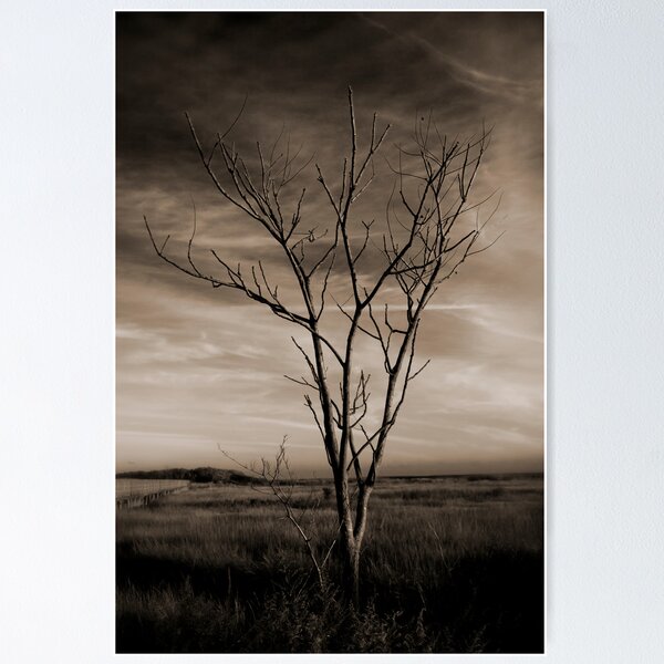 Item preview, Holding on - Lone Tree designed and sold by Tim Mannle.