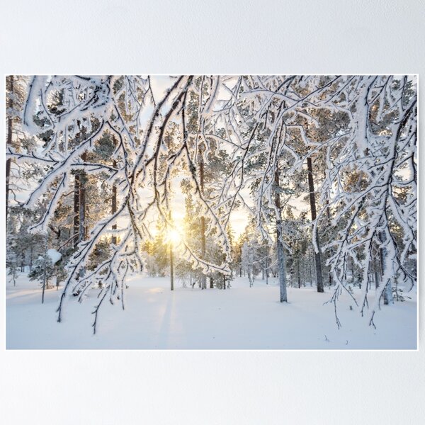 Item preview, Frozen trees winter designed and sold by Delphimages Art.