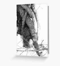 Dancer's Point Greeting Card