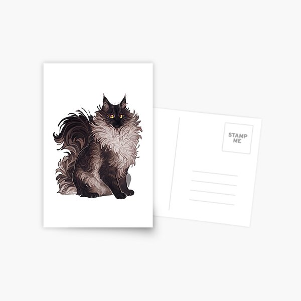 Black and white cat Postcard
