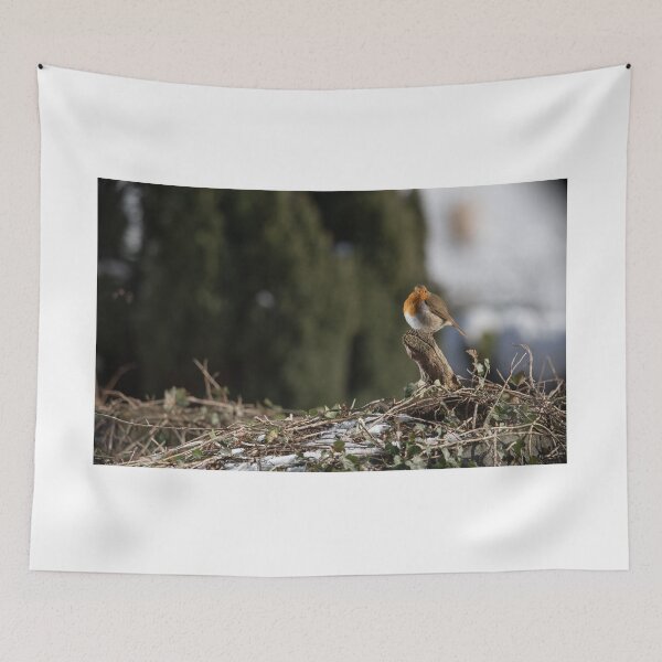 Item preview, Robin designed and sold by beardedegg.