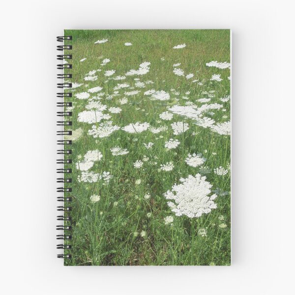 Item preview, Field of Queen Anne's Lace designed and sold by ginawaltersdorf.