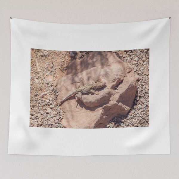 Item preview, Long-nose leopard lizard  designed and sold by LizzieMaher.