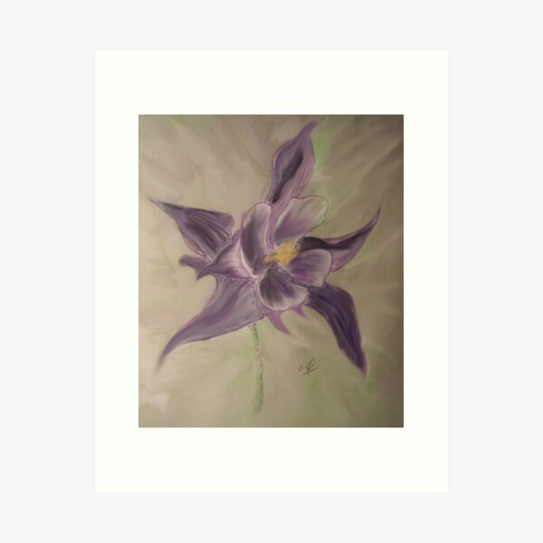 Aquilegia Vulgaris.Ladies Bonnet Art Print