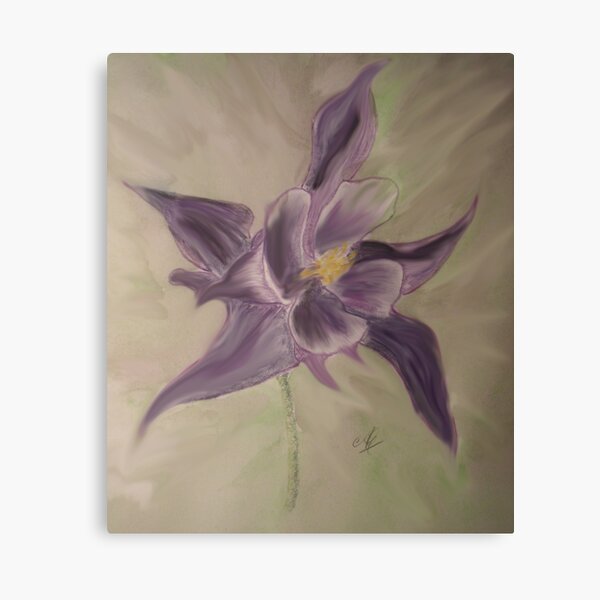 Aquilegia Vulgaris.Ladies Bonnet Canvas Print