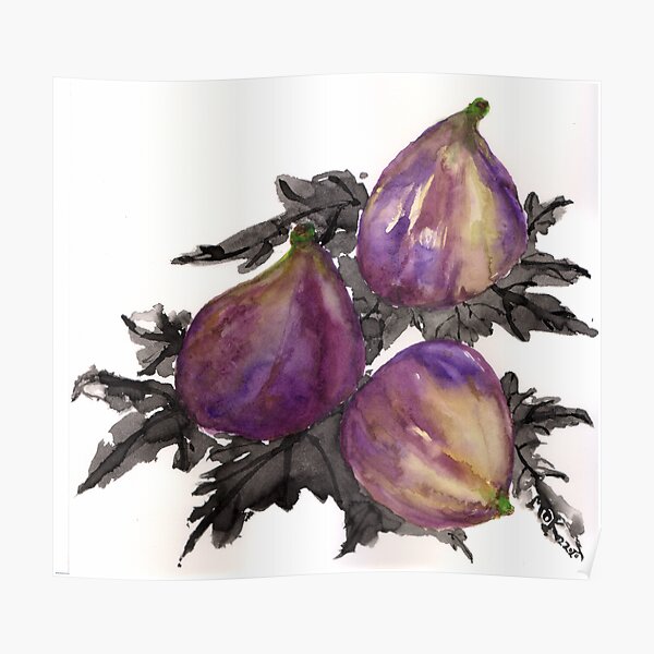Figs 03 Poster