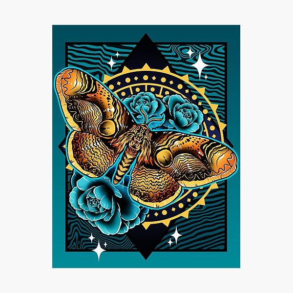 Indonesian Owl Moth Photographic Print