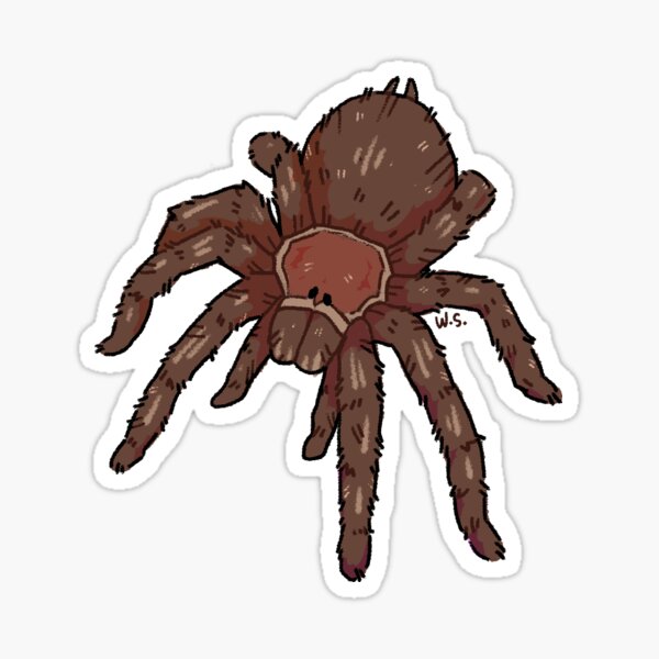 Tarantula Warning Stickers 7 Variations 