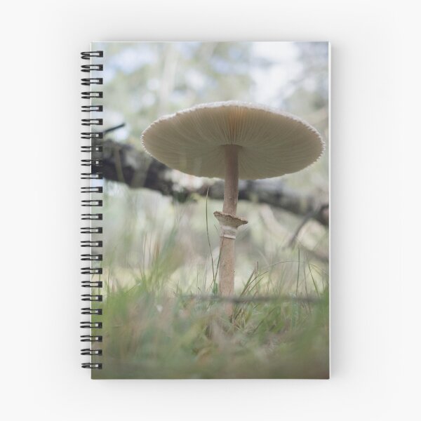 Item preview, Hidden in the grass designed and sold by Clare Colins.
