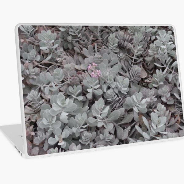 Item preview, Plantskin - Succulents designed and sold by Enji333.