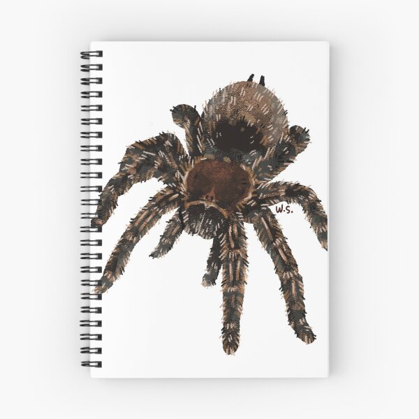 Item preview, Tarantula Spider Graphic designed and sold by tarantulaheaven.
