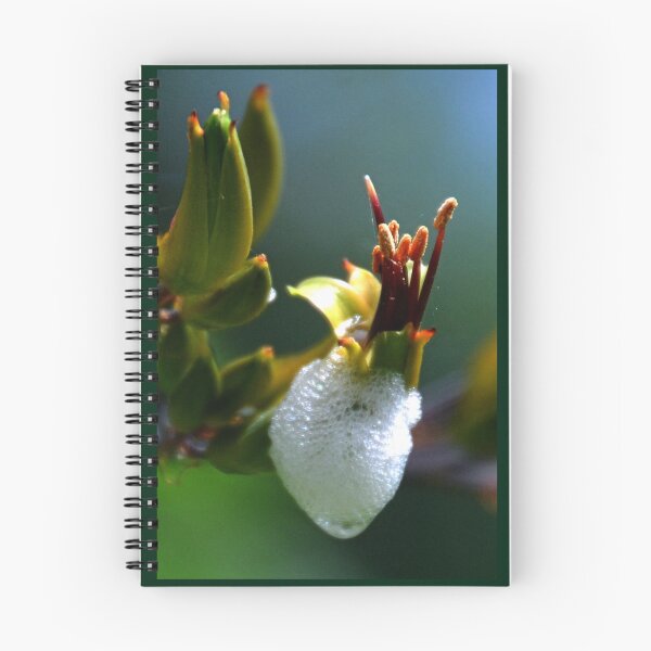 Item preview, Spittlebugs about........... designed and sold by lynn carter.